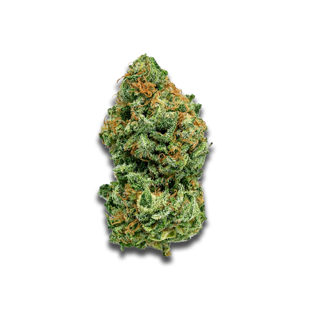 Cannabis